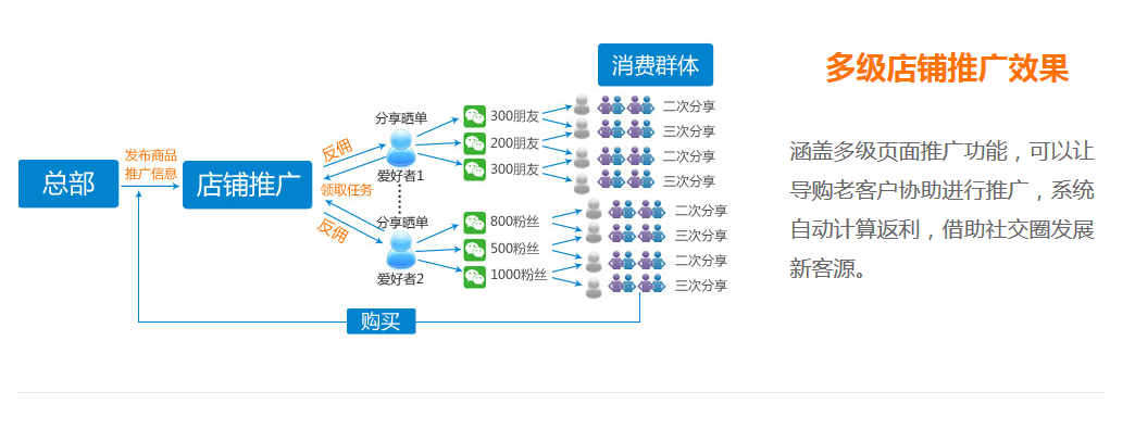 消费群体